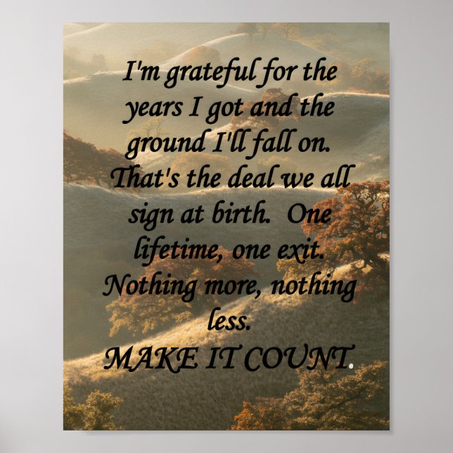 Affiche Make It Count (Devant)