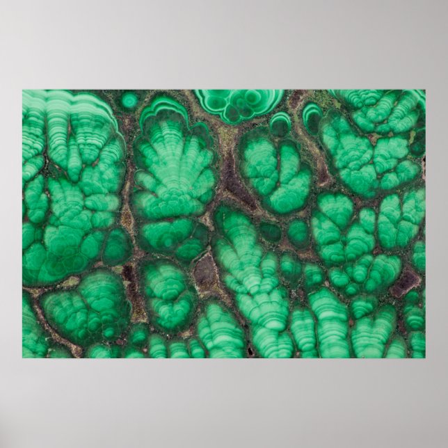 Affiche Malachite à motifs verts (Devant)