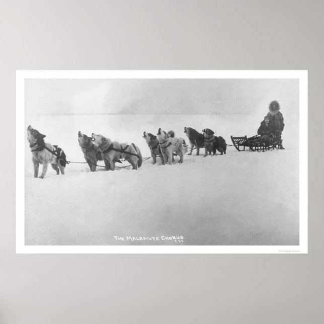 Affiche Malamute Chorus Alaska 1920 (Devant)