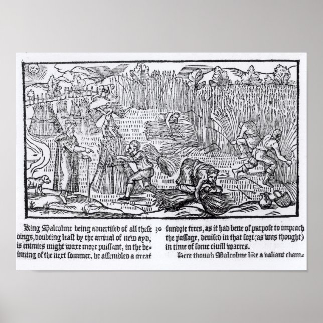 Affiche Malcolm, roi d'Écosse (Devant)