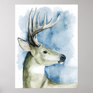 Affiche Mâle errant - aquarelle