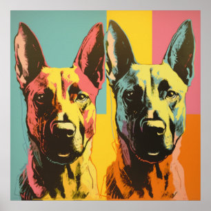 Affiche Malinois POP ART 2