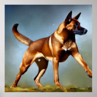 Malinois Shepherd Dog