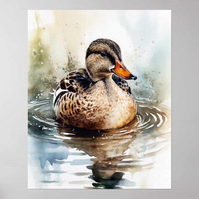 Affiche Mallard Duck Bird Art Imprimer l'affiche (Devant)