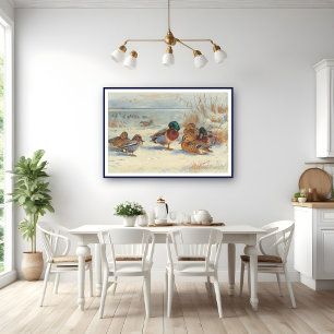 Affiche Mallard et turquoise dans la neige, Oiseaux