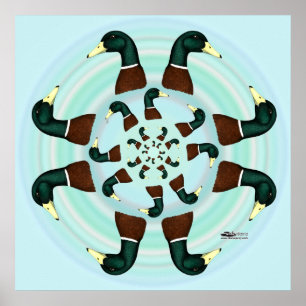 Affiche Mallards Galore !