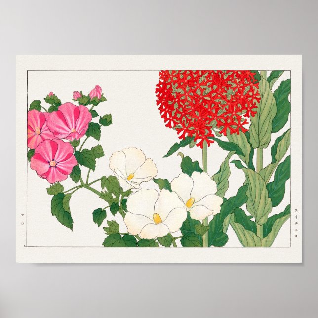 Affiche Mallow, Centranthus par Tanigami Konan (Devant)