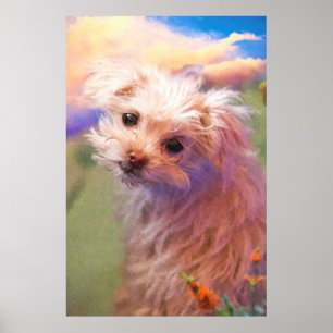 Affiche Maltese Rescue Puppy Day 1 “THE WEE ONE”