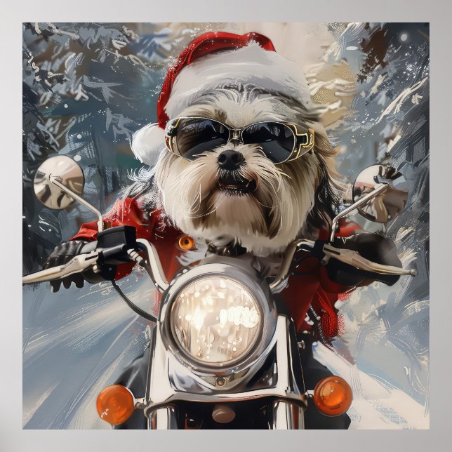 Affiche Malti Tzu Chien équitation Moto Noël (Devant)