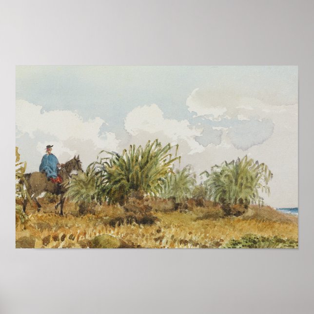 Affiche malvinas (Devant)