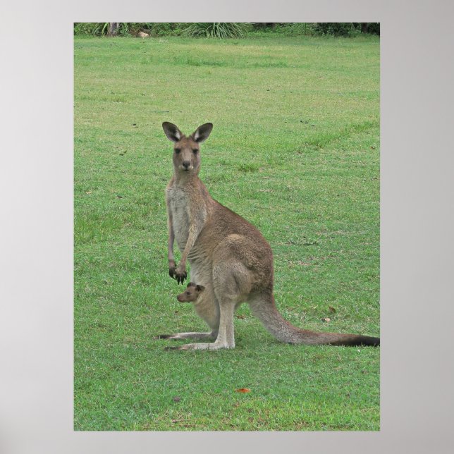 Affiche Mama Roo et Joey (Devant)