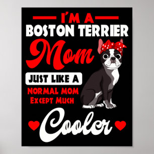 Affiche Maman Boston terrier gentleman américain chien de