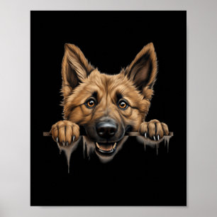 Affiche Maman Chien Berger Belge Laekenois Papa qui regard