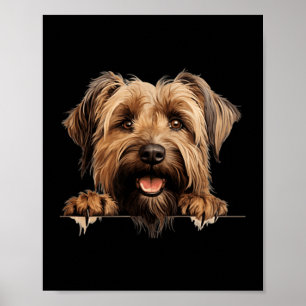 Affiche Maman Chien Briard Papa Regardant Chiot