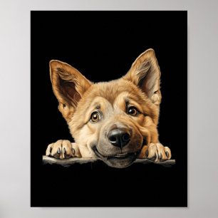 Affiche Maman Chien Chinook Papa Regardant Chiot