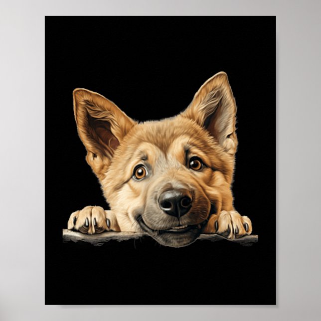 Affiche Maman Chien Chinook Papa Regardant Chiot (Devant)