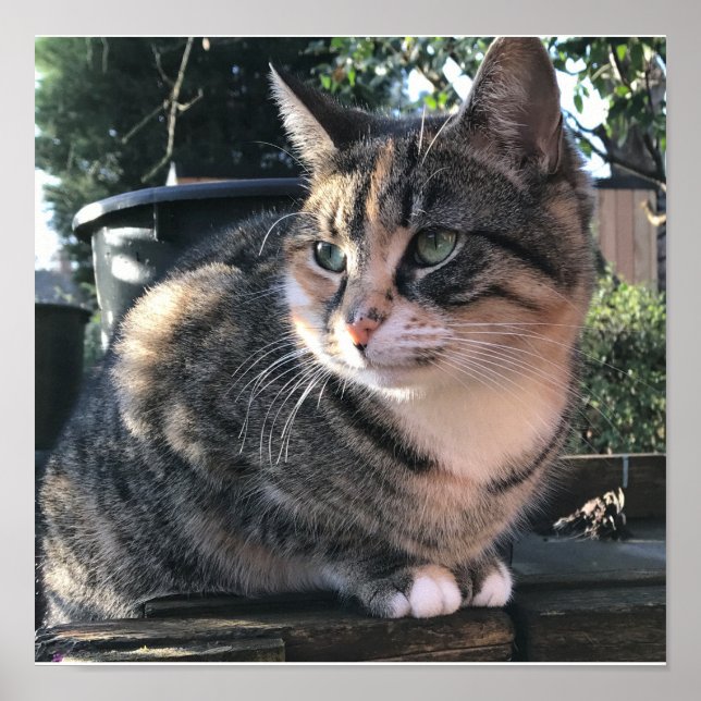 Affiche Mamma de Ruby, Mme Ribby (Devant)