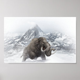 Affiche Mammifère laineux Période de glace animale préhist