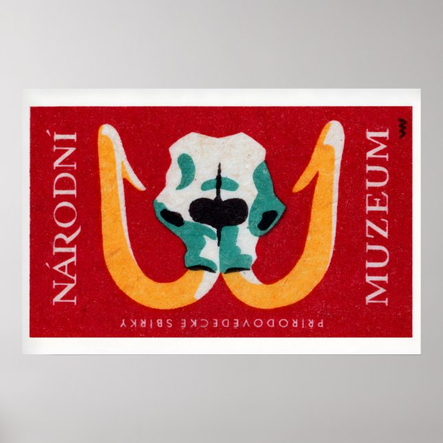 Affiche Mammoth Skull - Matchbox Print - Czech Wall Art (Devant)