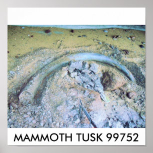 Affiche mammouth tusk (2), MAMMOTH TUSK 99752