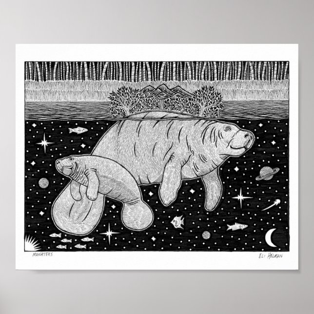 Affiche Manatees (Devant)