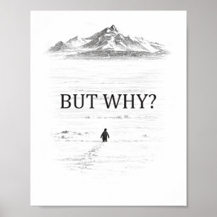 Affiche Manchot Mais Pourquoi Montagnes