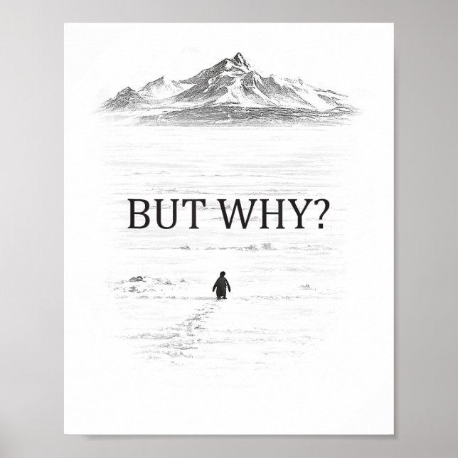 Affiche Manchot Mais Pourquoi Montagnes  (Devant)