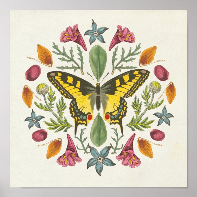 Affiche Mandala papillon (Devant)