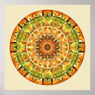 Affiche Mandalas de confiance profonde, no. 10