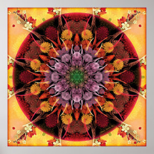 Affiche Mandalas pendant des périodes d'affiche de la