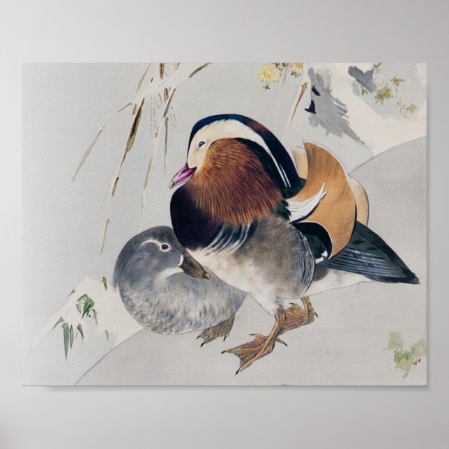 Affiche Mandarin Duck Couple, Watanabe Seitei (Devant)