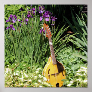 Affiche Mandolin Et Iris Flower Garden