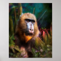 Mandril Baboon MASK DANS LA JUNGLE