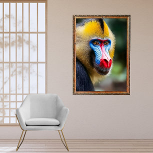Affiche Mandrill