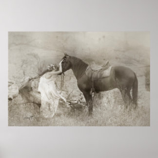 Affiche Mangalarga Marchador Stallion et femme