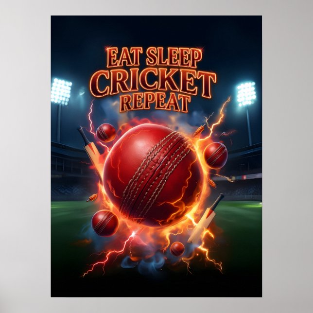 Affiche Manger Dormir Cricket Flamme (Devant)