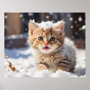 Affiche *~* Manger Snow Kitty 5:4 Kitten Cat AP68