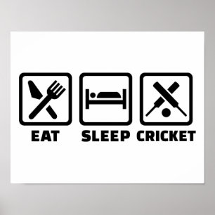 Affiche Mangez le cricket du sommeil