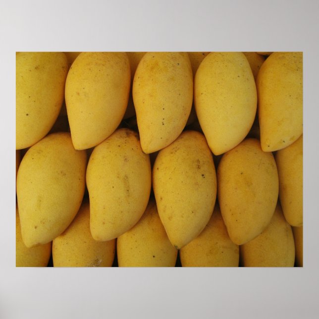 Affiche Mango (Devant)