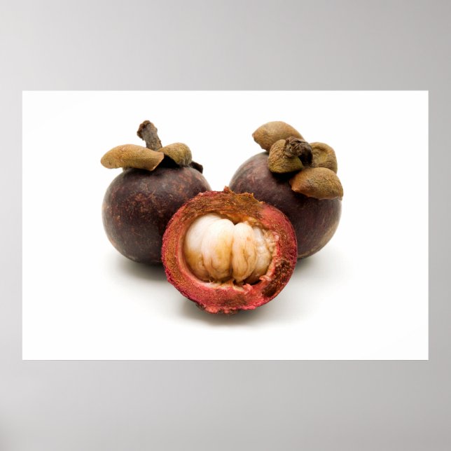 Affiche Mangosteen violet (Devant)