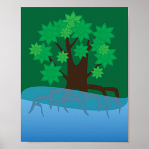 Affiche Mangrove