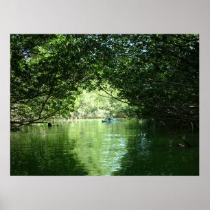 Affiche Mangrove Kayaking