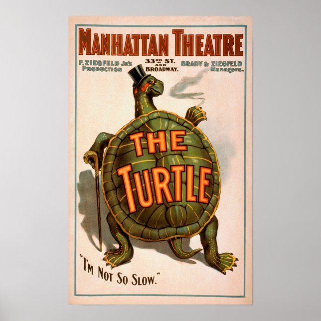 Affiche Manhattan Theatre New York Broadway The Turtle (Devant)