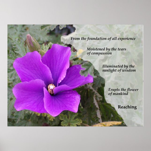 Affiche Mankind's Flower (Devant)