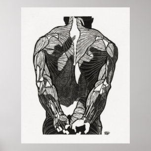 Affiche Man's Anatomy 5