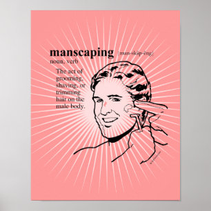 AFFICHE MANSCAPING