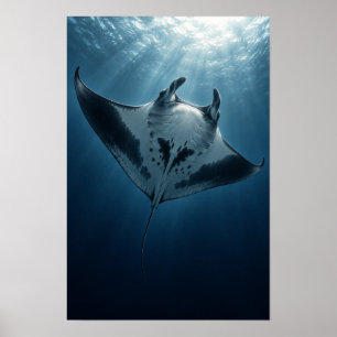Affiche Manta Ray Glissant Sous La Lumière Du Soleil Marin