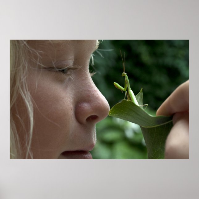 Affiche Mantis religiosa (Devant)