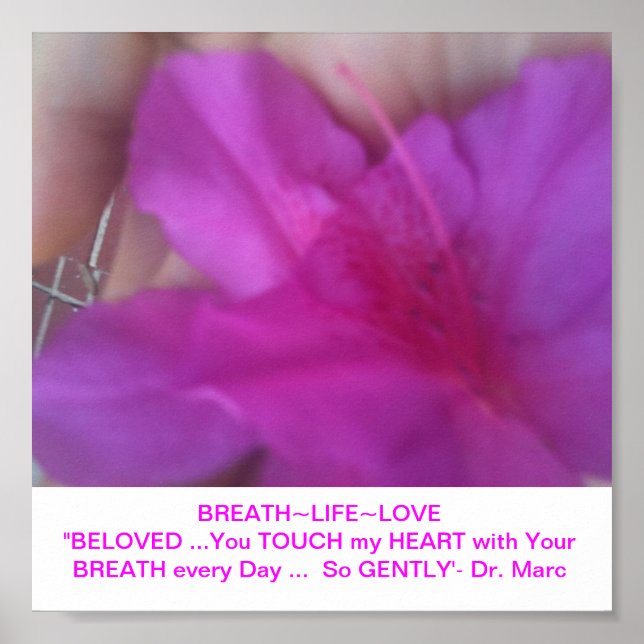 AFFICHE MANTRA (Devant)