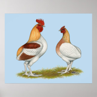 Affiche Manx Rumpies